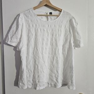 SIZE 3XL SHEIN CURVE white short sleeve textured shirt